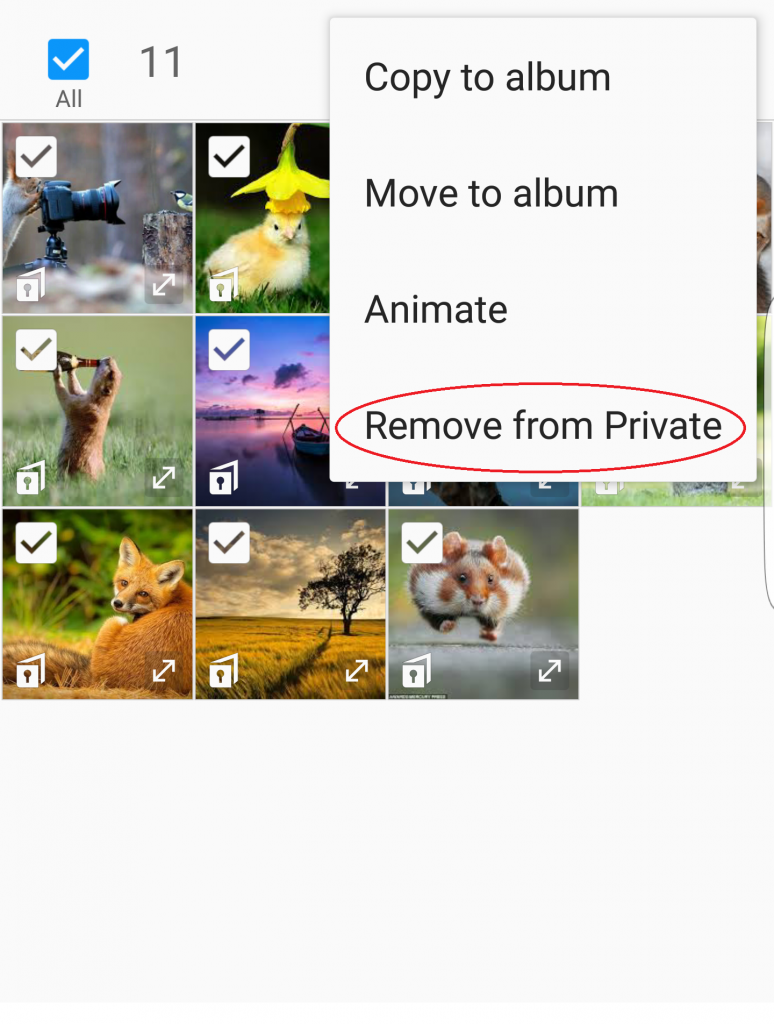 How to Use Private Mode on Samsung Devices? Tactig
